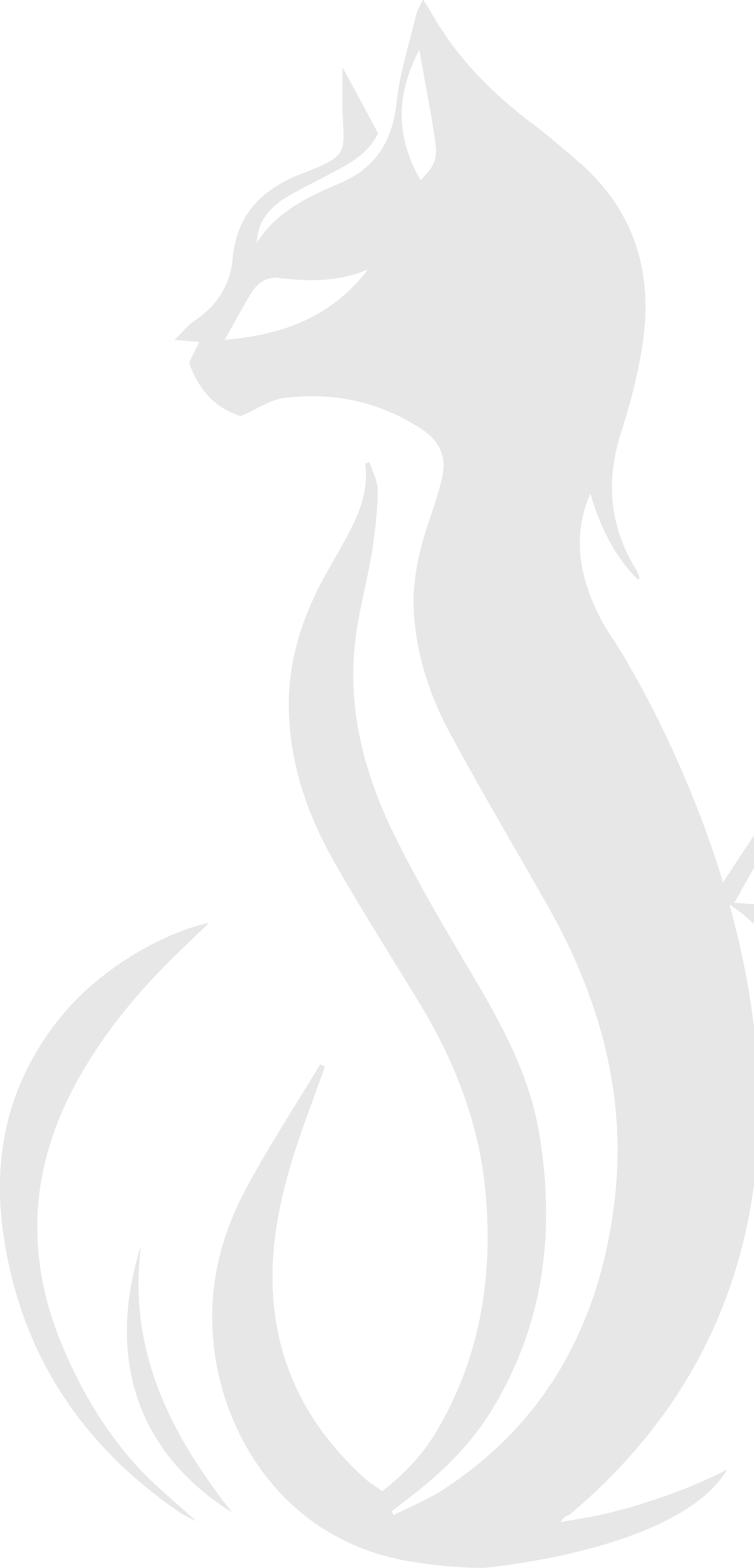 Kittyfits Background Logo